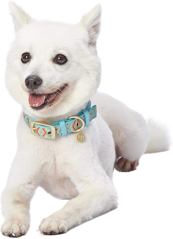 Blueberry Pet Southwestern Tribal Print Celeste Blue Adjustable Dog Collar with Metal Buckle, Neck 13-16.5", for Medium Breed