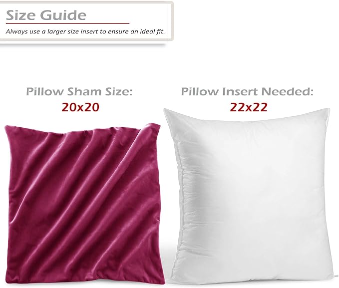 Throw Pillow Inserts Pack of 2 with Velvet Soft Solid Decorative Square Throw Pillow Covers Set for Sofa Couch Car Bedroom, 22X22 Throw Pillows Inserts with 20x20 Washable Cushion Covers, Magenta
