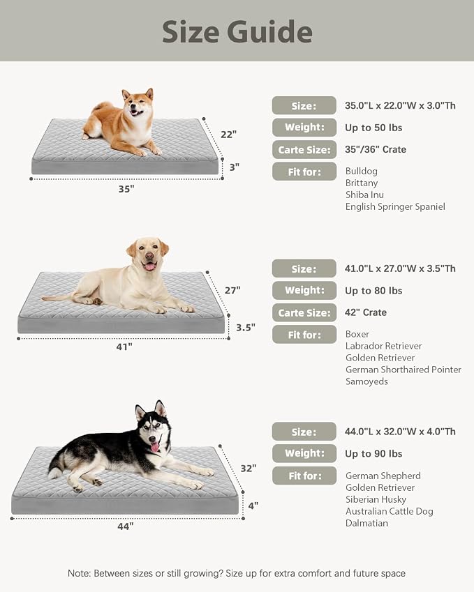 NUPIDA Orthopedic Dog Beds for Extra Large with Washable Cover, 44x32, Grey | Egg-Crate Foam, Cozy Velvet Pet Mattress, TPU Waterproof Layer, Comfy Support, Anti-Slip Base Extra Large Breeds up to 90lbs