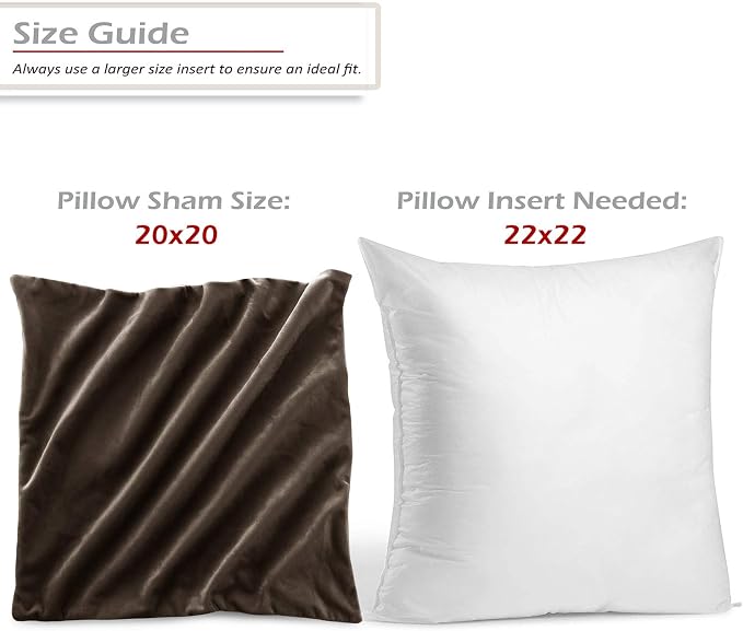 Throw Pillow Inserts Pack of 2 with Velvet Soft Solid Decorative Square Throw Pillow Covers Set for Sofa Couch Car Bedroom, 22X22 Throw Pillows Inserts with 20x20 Washable Cushion Covers, Dark Brown