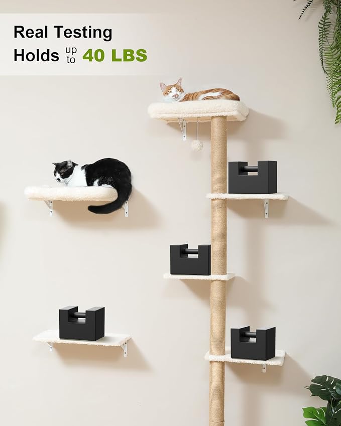 FUKUMARU Cat Wall Shelves Set, 70 inch Wall Mounted Tree, Beige | Kitten Scratching Post with Soft Cushion Perch, Space Saving Climbing Wall Furniture for 16 Inch Drywall