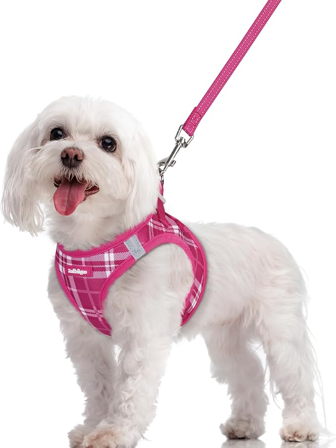 rabbitgoo Dog Harness Small Sized and Leash Set, Step-in Puppy Pet Vest | Light, Soft, Breathable Air Mesh, Easy on and Remove with Hook & Loop, Secure Reflective for Walking, Rose Red Plaid M