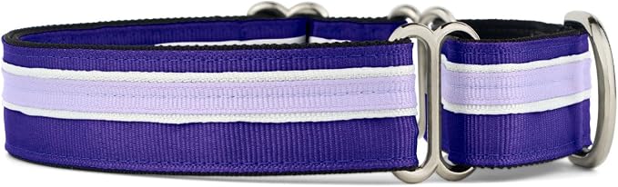 If It Barks 1" Martingale Collar for Dogs, Adjustable Nylon, USA Made, Medium, Grape Crush
