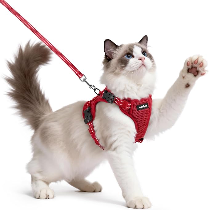 rabbitgoo Cat Harness and Leash, Easy-on with Neck Buckle, Red