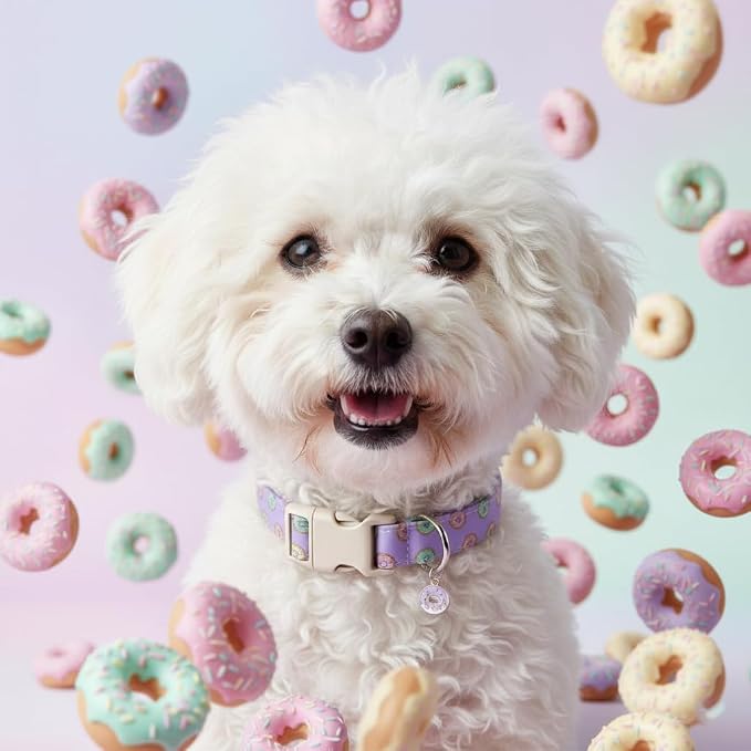 Girl Dog Collar with Unique Purple and Donut Print, Cute Dog Collar for Spring & Summer, Adjustable Pet Collar for Medium Dogs
