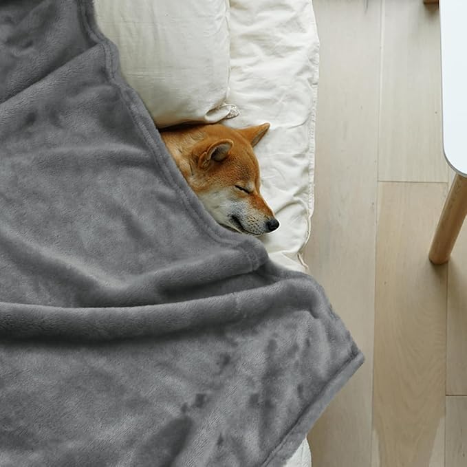 Onarway Dog Blanket Washable for Bed: 2 Packs Dog Blankets 40”x47” | Fluffy Soft Large Throw for Cat Puppy Kitten Dogs - Fleece Pet Blankets for Crate Couch Car and Indoor - Grey