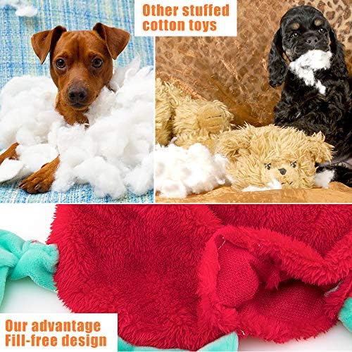 AWOOF 5 Pack Dog Squeaky Toys - No Stuffing, Durable Chew Toy Set for Puppy, Small to Large Dogs