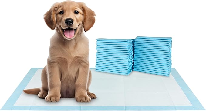 BV XXL Puppy Pads 40 Count 36" x 30" - Leak-Proof Pee Pads for Dogs with 6-Layer Design, Rapid Dry Sheet & Attractant - Dog Pad Extra Large with Odor Control - Perfect for Big Dogs & Indoor Use