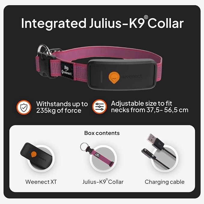 Weenect Dog XT - NEW GPS Collar for Dogs | XL Antenna | Waterproof | Ultra-Durable Integrated Julius-K9 Collar | Subscription Required
