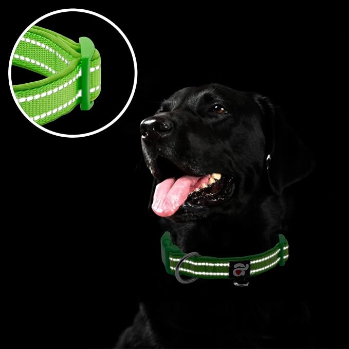 azuza Reflective Dog Collar, Neoprene Padded Puppy Collar, Green, XS