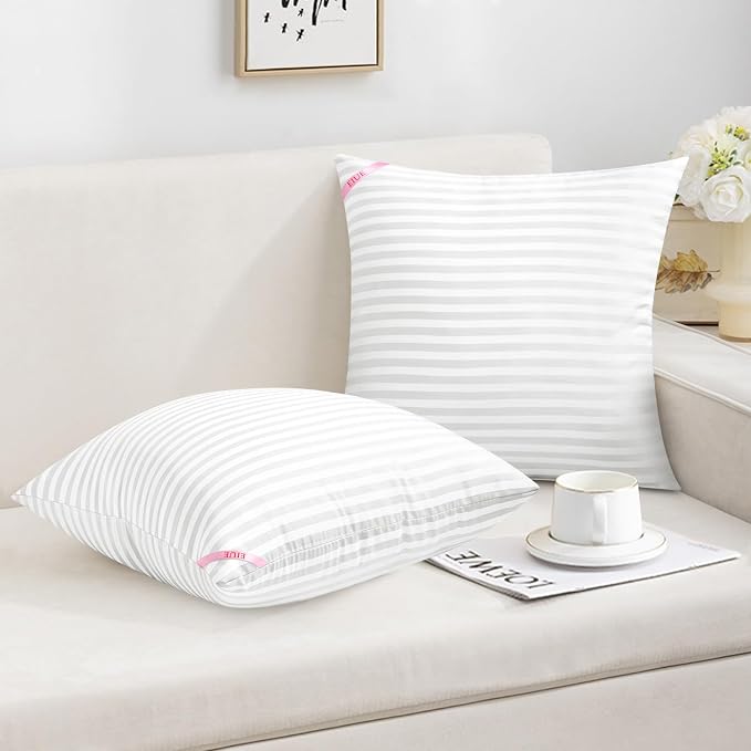 EIUE Throw Pillow Inserts, Machine Washable Pillows,Premium Polyester Fiber Fill for Sofa Bed & Decorative Cushions (White, 20x20inch)