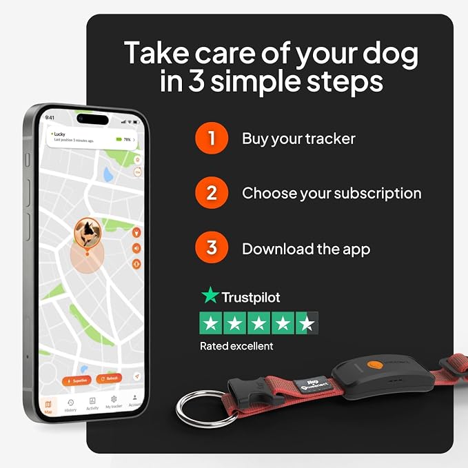 Weenect Dog XT - NEW GPS Collar for Dogs | XL Antenna | Waterproof | Ultra-Durable Integrated Julius-K9 Collar | Subscription Required
