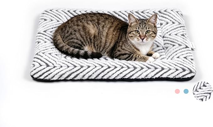 Mora Pets Cat Beds for Indoor Cats Washable Cat Mat Bed Flat Dog Crate Pad | Ultra Soft Cat Bed for Carrier, Puppy Crate Pad for Dog Cages Cozy Sleeping Liner, Small Cat Pillow Cushion Anti Slip 22 x 13