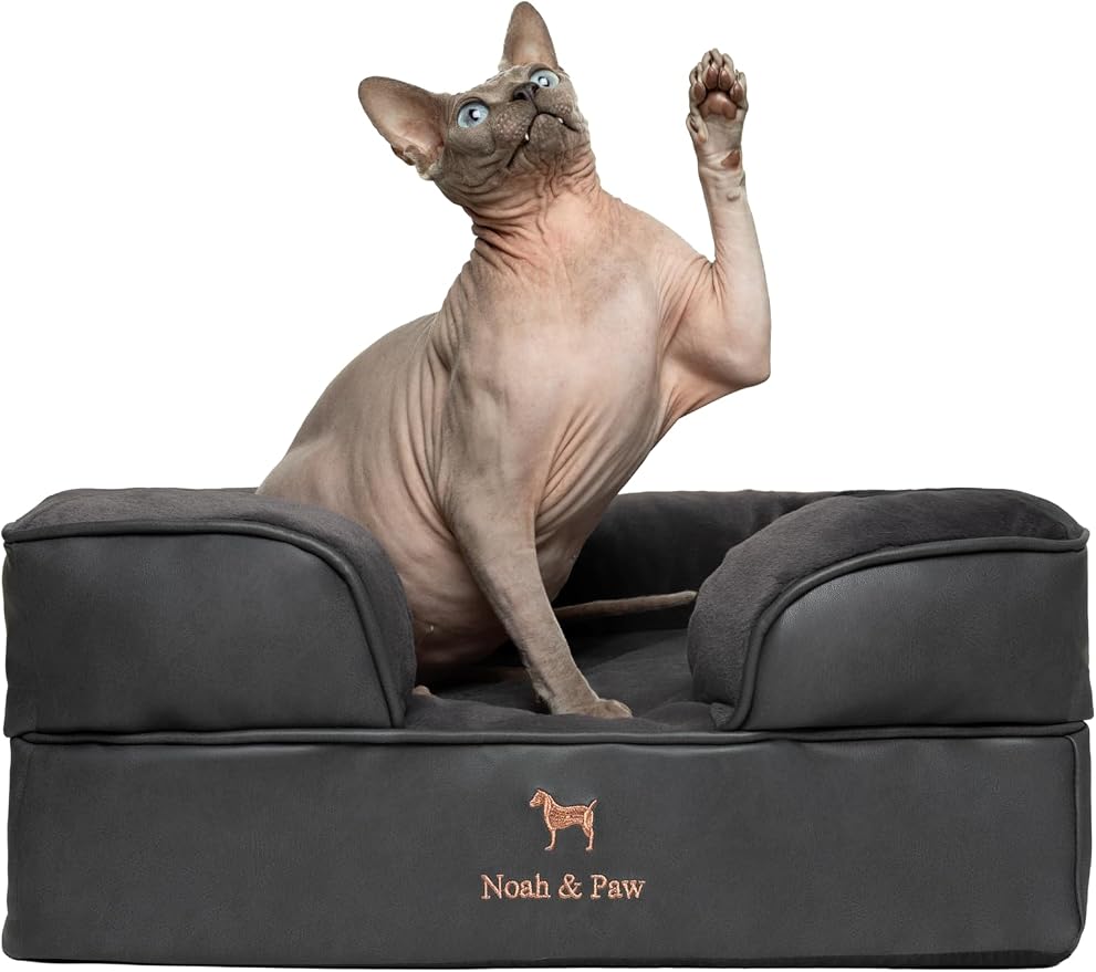 NOAH & PAW Small Dog Bed, 20x15x8 Inch, Cat Bed for Indoor Cats, Orthopedic Eggshell Memory Foam Infused with Cooling Gel, Water Resistant Inner Cover Machine Washable (Faux Leather)