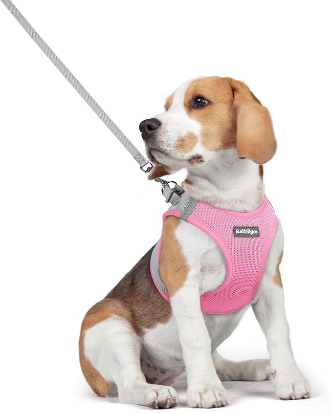 rabbitgoo Dog Harness Medium Sized and Leash Set, Step-in Puppy Pet Vest | Light, Soft, Breathable Air Mesh, Easy on and Remove with Hook & Loop, Secure Reflective for Walking, Light Pink & Gray L