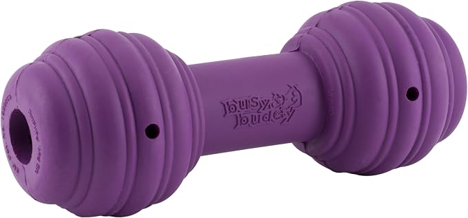 PetSafe Busy Buddy Chuckle Sound Dog Chew Toy - Treat Dispenser, BB-CHK, Purple