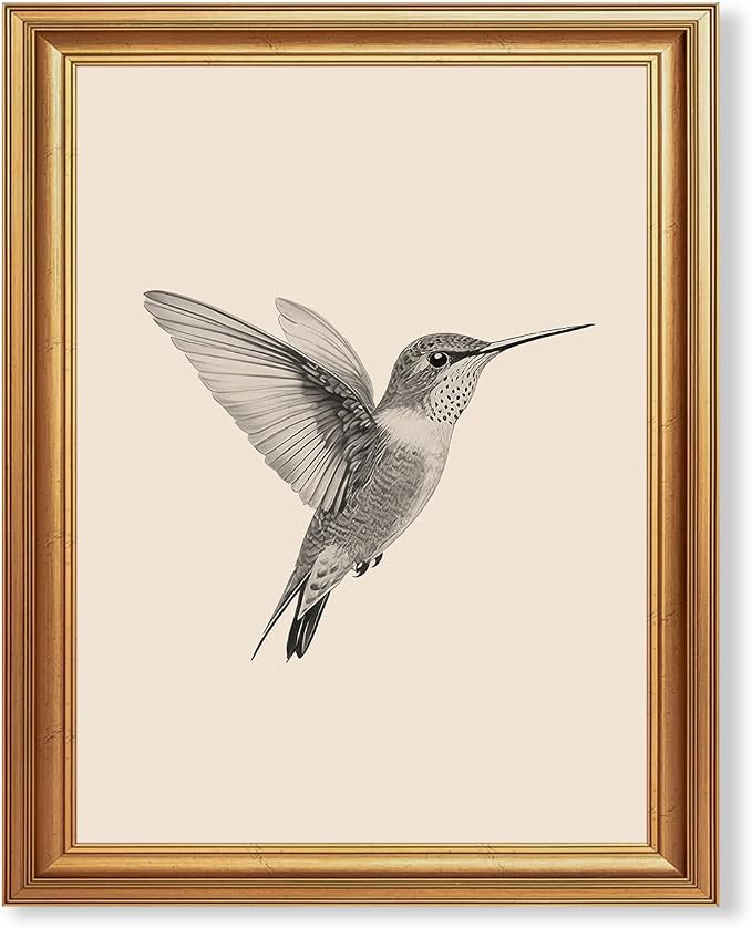 JLTULT Vintage Hummingbird Wall Art, Gold-Tone Framed Canvas, 8 x 10 In | Black-and-white hummingbird art on fade-resistant canvas with a ready-to-hang gold-tone PS frame for bedrooms and offices