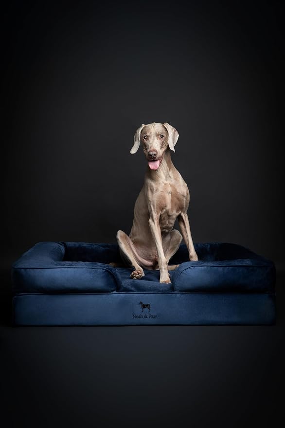 NOAH & PAW XL Dog Bed, 45x35x11 Inch, Orthopedic Large Dog Beds, Eggshell Memory Foam Infused with Cooling Gel, Inner Cover, Water Resistant, Machine Washable (Velvet Sofa Collection)