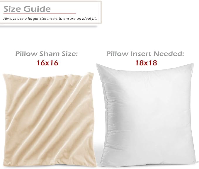 Throw Pillow Inserts Pack of 2 with Velvet Soft Solid Decorative Square Throw Pillow Covers Set for Sofa Couch Car Bedroom, 18X18 Throw Pillows Inserts with 16x16 Washable Cushion Covers, Beige Cream