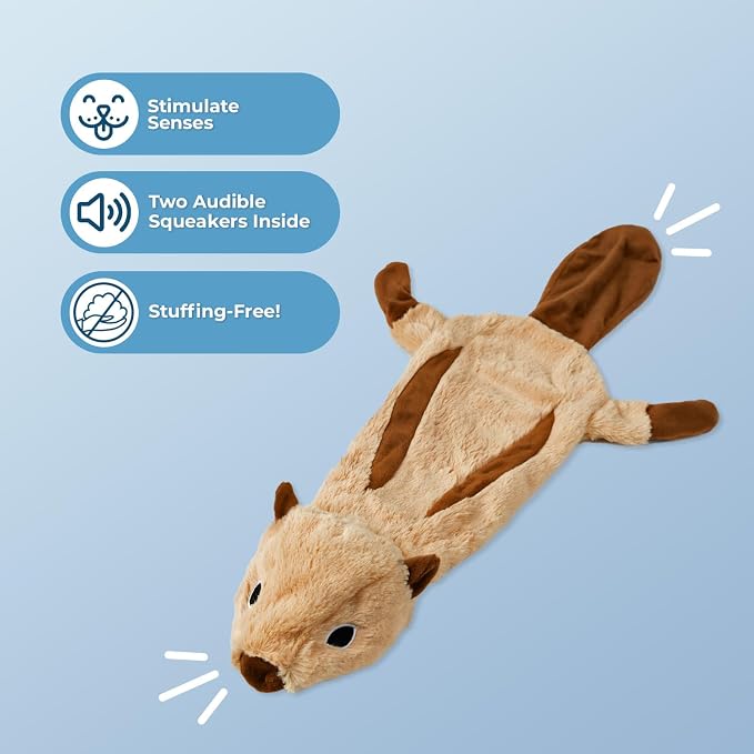Best Pet Supplies 2-in-1 Stuffless Squeaky Dog Toy - Squirrel, Large | No-Stuffing, 2 built-in squeakers, No Mess, Soft, Holds a Plastic Bottle for Added play, Perfect for Moderate chewers