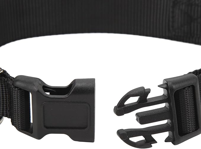Programmable LED Dog Collar with 7 Flashing Modes Rechargeable High Visibility Polyester Ribbon for Night Walks Red