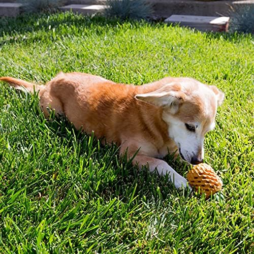 Youngever Pineapple Dog Treat Toys for Pet Teeth Cleaning, Chewing, Fetching, Tough Toy for Aggressive Chewers, Treat Food Dispensing Toys (Small 4.3 inch)
