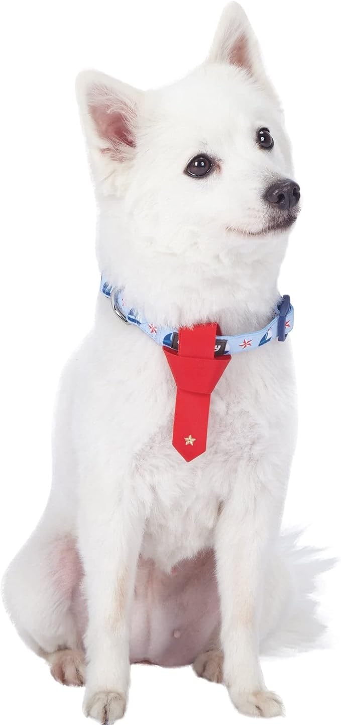 Blueberry Pet 4 Patterns Light Blue Starry Sailboat Designer Adjustable Tie Dog Collar, Medium, Neck 14.5"-20"