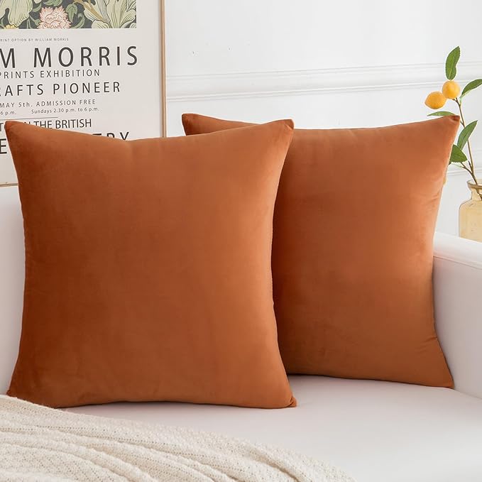 Velvet Decorative Throw Pillow Covers, Soft Square Cushion Case Home Decor for Living Room Couch Bed Sofa, Set of 2 Pack, Orange, 16x16 Inch