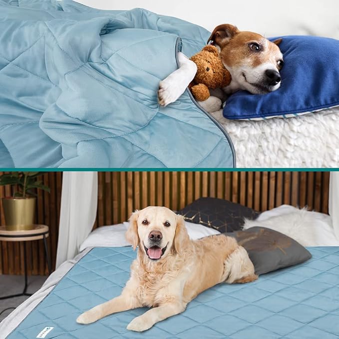 PetAmi Premium Cooling Dog Blanket | Lightweight Fluffy Pet Throw Blanket Bed Cover for Dogs, Cat, Puppies | Pet Blanket Furniture Protector Couch Sofa | Reversible Fuzzy Cozy | 29x40, Dusty Blue