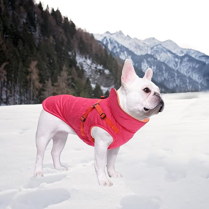 Geyecete Winter Warm Coat Waterproof Dog Winter Jacket with Harness Traction Belt,Windproof Pet Outdoor Jacket-Pink-L