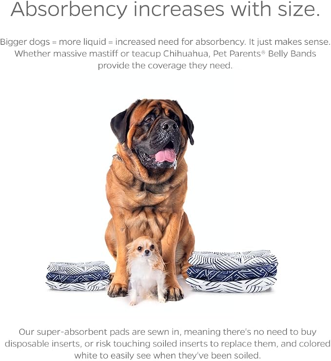 Pet Parents® Washable Belly Bands for Male Dogs (3pack) + Extendrs® of Durable Dog Diapers Male, Premium Male Dog Diapers & Dog Wraps (Small, Kahuna)