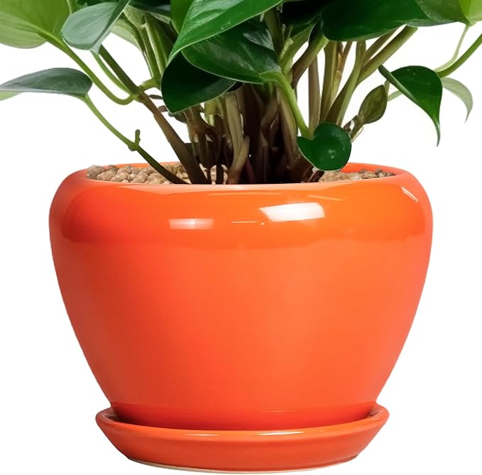 Ceramicfor Ceramic Plant Pot 6 Inch - Ceramic Planter for Indoor Plants Outdoor, Glaze Round Modern Flower Pot with Drainage Hole and Saucer, Gift for Plant Lover, Home Garden Room Decor, Orange