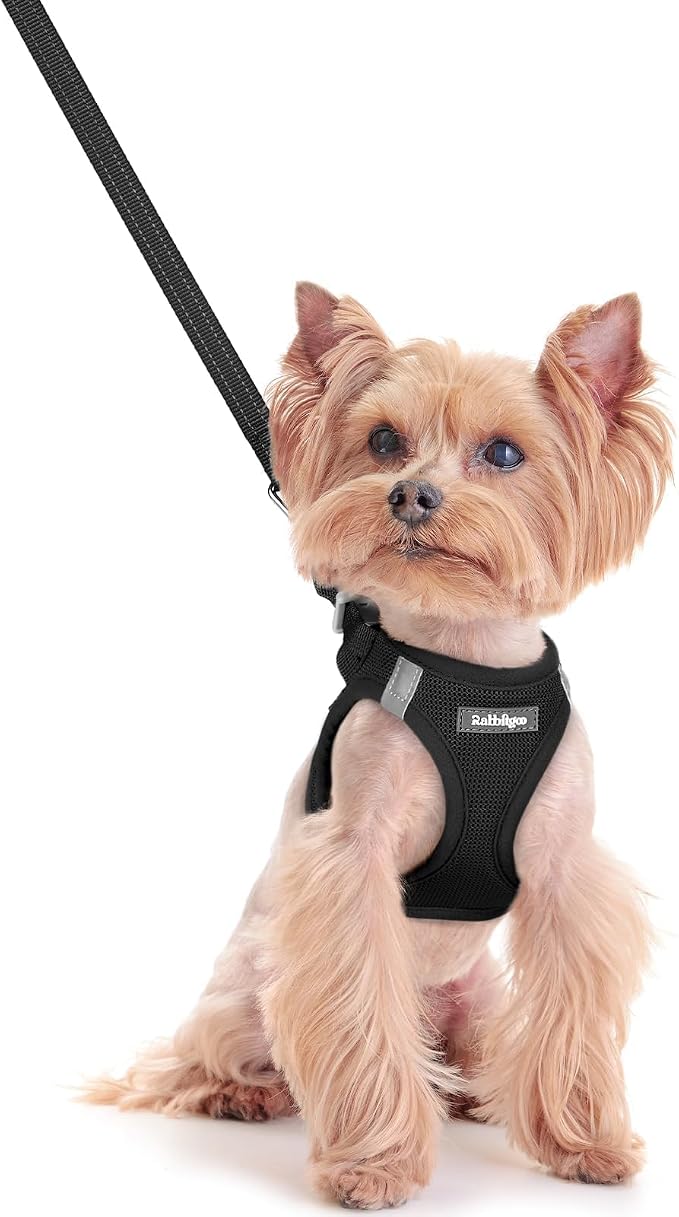 rabbitgoo Dog Harness Small Sized and Leash Set, Step-in Puppy Pet Vest | Light, Soft, Breathable Air Mesh, Easy on and Remove with Hook & Loop, Secure Reflective for Walking, Black XXS