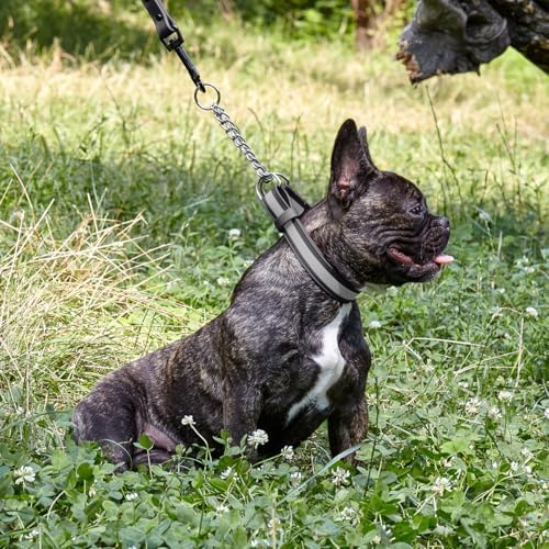 Dogline Reflective Martingale Collar for Dogs with Quick Release Buckle – Biothane Dog Collar with Herm Sprenger Assembly Chain – Waterproof No Pull Dog Collar, L 20”-26”, Black