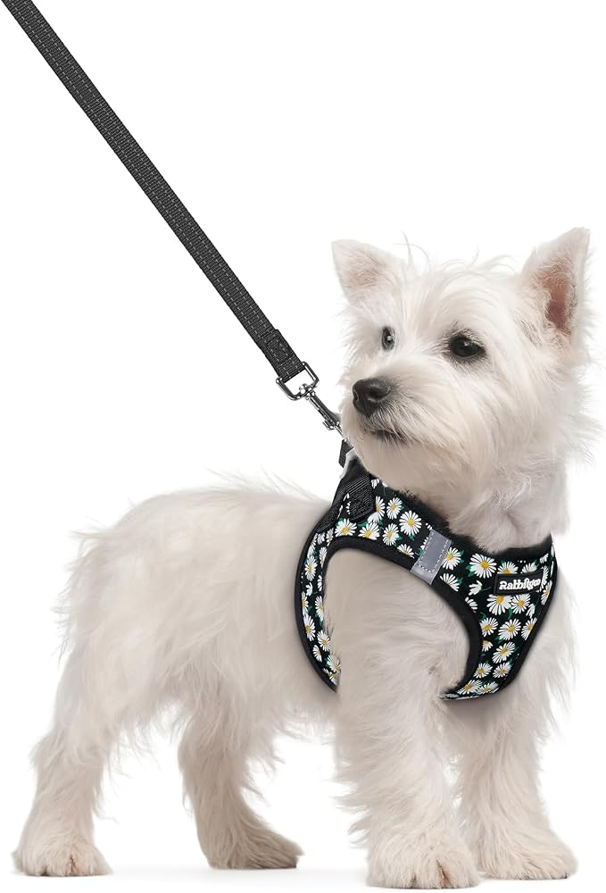rabbitgoo Dog Harness Small Sized and Leash Set, Step-in Puppy Pet Vest | Light, Soft, Breathable Air Mesh, Easy on and Remove with Hook & Loop, Secure Reflective for Walking, Midnight Daisy S