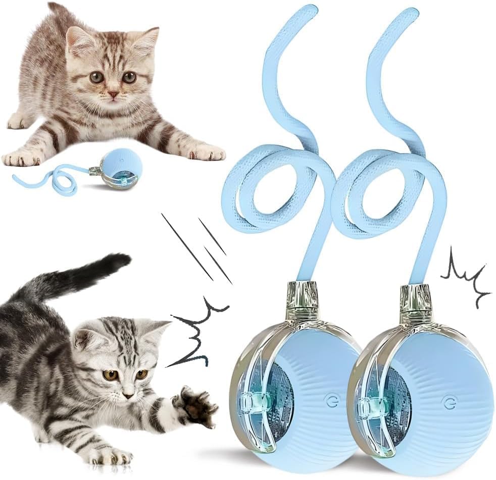 Interactive Cat Toy Ball, 2026 New Rechargeable Motion Activated Self Solo Play Electronic Stimulation Chase Teaser Ball Toy with Rope for Indoor Bored Adult Cat and Dog (Blue, 2pcs)