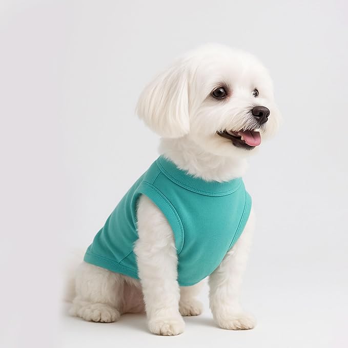 2 Pieces Dog Clothes for Small Dogs Girl Boy Spring Summer Puppy Soft Dog Shirt Solid Color Chihuahua Clothes Pet Clothing Cute Cat Cloth XXS~M (Cyan,Dark Green, Small)
