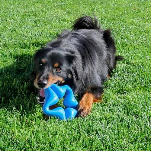 KONG Squeakz Dog Toy – Durable Rubber Fetch & Chew Toy with Squeakers, Interactive Enrichment Toy for Active Dogs (Star, Medium)