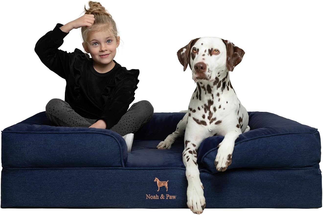 NOAH & PAW XL Dog Bed, 45x35x11 Inch, Orthopedic Large Dog Beds, Eggshell Memory Foam Infused with Cooling Gel, Inner Cover, Water Resistant, Machine Washable (Denim Sofa Collection)