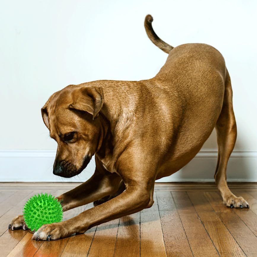 Cutie's PetBox Squeaky Rubber Spike Toy Ball for Medium, Large Dogs (3.5 Inch, Green)