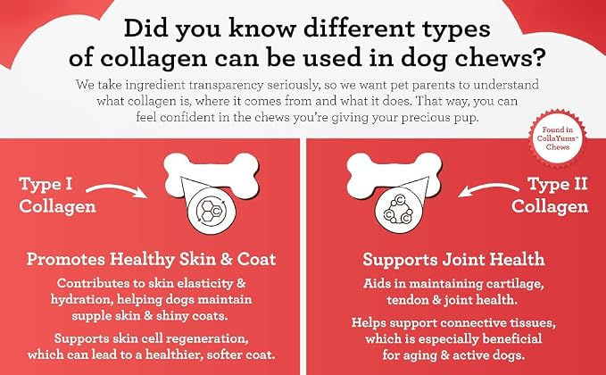 DreamBone CollaYUMS Twists Plus Collagen Rawhide-Free Dog Treats, 10 Count | Supports Hip and Joint Health, Daily Chew, Digests Safely and Completely, With Real Chicken & Peanut Butter, For Adult Dogs