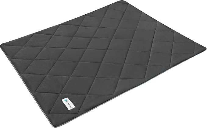PetAmi Premium Cooling Dog Blanket | Lightweight Fluffy Pet Throw Blanket Bed Cover for Dogs, Cat, Puppies | Pet Blanket Furniture Protector Couch Sofa | Reversible Fuzzy Cozy | 24x32, Grey