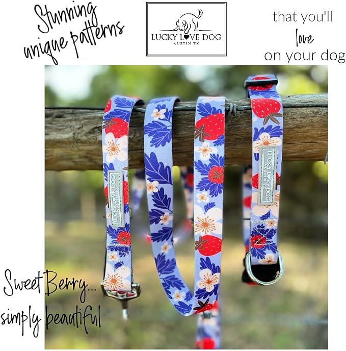 Lucky Love Dog Martingale Collar for Medium Dogs Cute – Sweet Berry, Medium