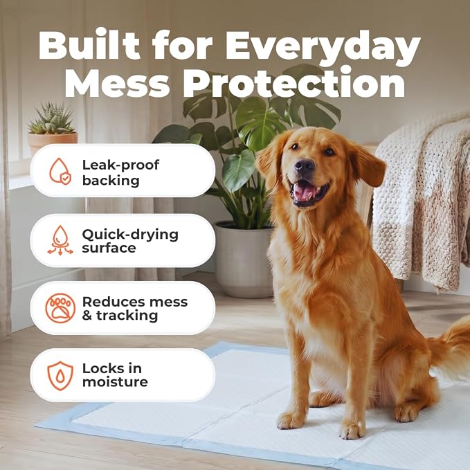 Best Pet Supplies Extra Large Dog Training Puppy Pee Pads - Blue, 100 Count | 36x28", Super Absorbent, Disposable, Leakproof, Keeps Floors Protected & Paws Dry, For Indoor Dogs, Odor Control