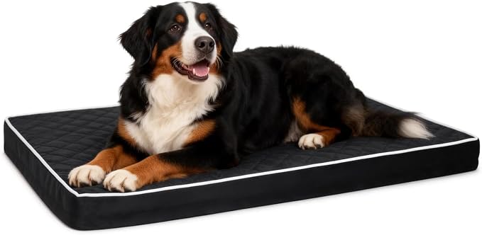 NUPIDA Orthopedic XXL Dog Beds for Crate with Washable Cover, 47x29, Black | Egg-Crate Foam, Cozy Velvet Pet Mattress, TPU Waterproof Layer, Comfy Support, Anti-Slip Base Extra Large Breeds up to 90lbs