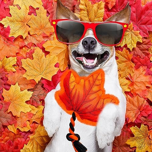 Thanksgiving Dog Toy, Squeaky Maple Leaf Rope Toy for Small Dogs