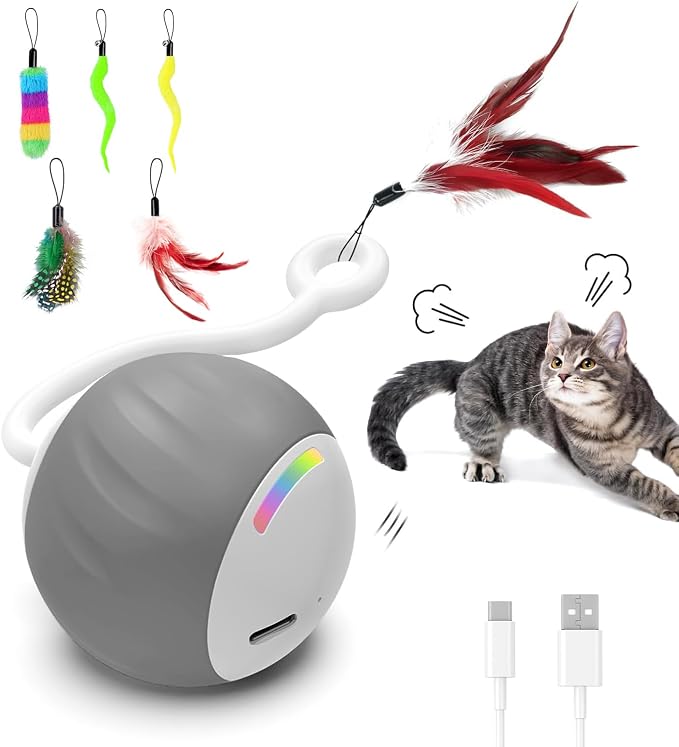 Upgraded 2.36 Inch Large Interactive Cat Toys Ball for Indoor Cats, Gray