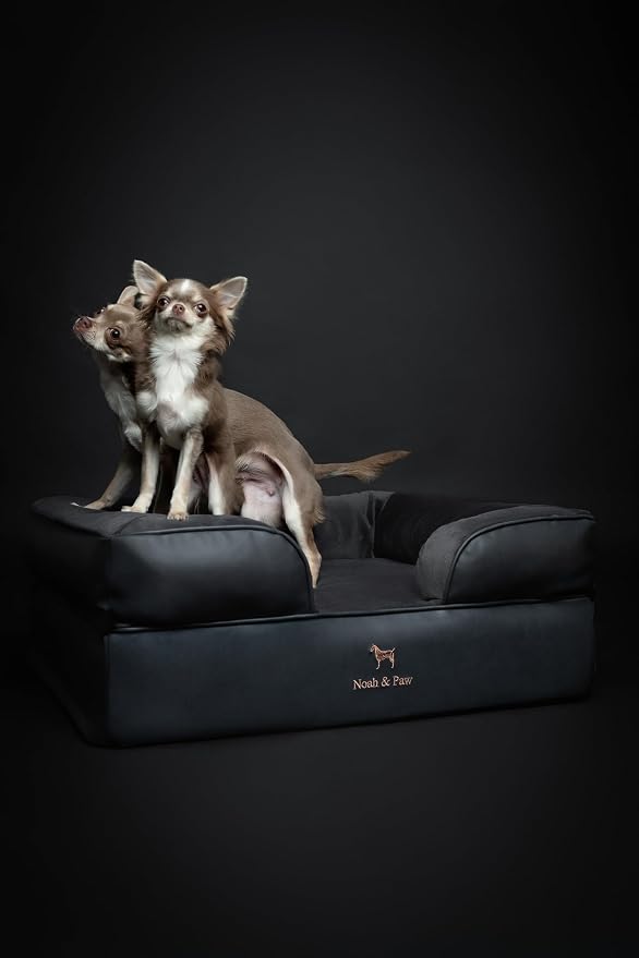 NOAH & PAW Dog Bed, 28x23x11 Inch, Orthopedic Dog Beds for Medium Size Pets, Eggshell Memory Foam Infused with Cooling Gel, Inner Cover, Water Resistant, Machine Washable (Faux Leather)
