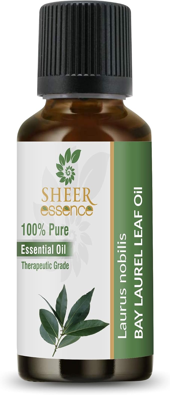 Bay Laurel Leaf Oil- (Laurus Nobilis)- Essential Oil 100% Pure Natural Undiluted Uncut Therapeutic Grade Oil 3.38 Fl.Oz.