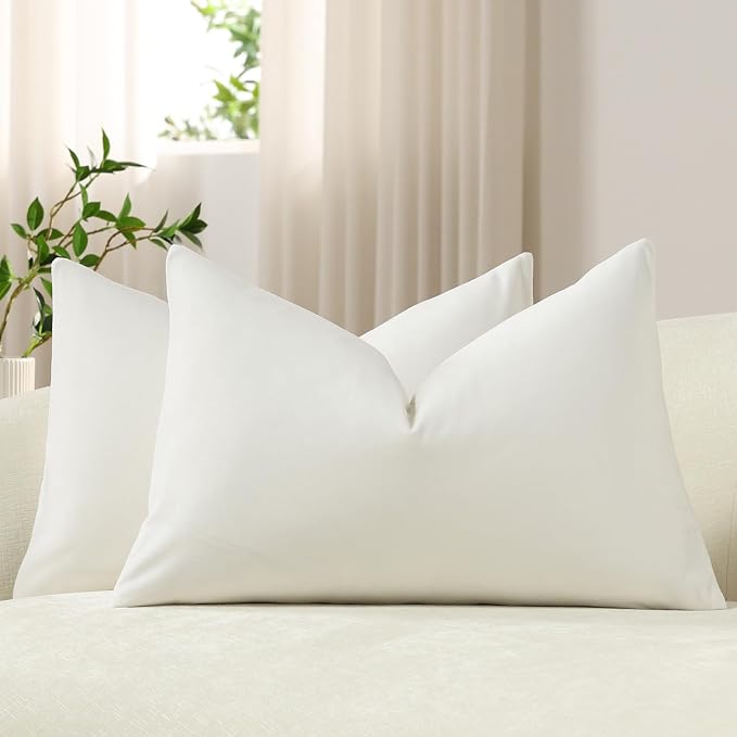 Lumbar Pillow Covers 12x20 Pure White: Pack of 2 Cozy Soft Velvet Rectangular Modern Luxury Decorative Throw Pillow Cases for Sofa Couch Living Room Bed Home Decor